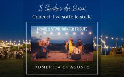 🎶 Domenica 24 Agosto – PURPLE WONDER PROJECT – cena a buffet e concerto live sotto le stelle 🎶